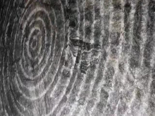 施工現(xiàn)場(chǎng)